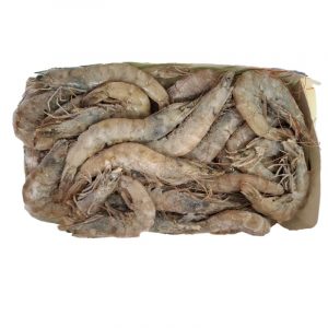 ????_20251007171552_102_9_clipped_rev_2 (1).jpeg