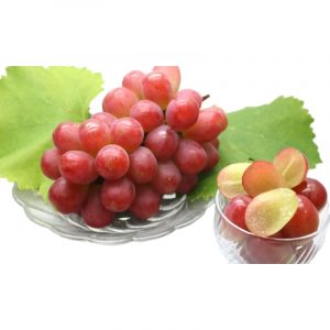 ????_20260107134324_214_325_clipped_rev_1 (1).jpeg