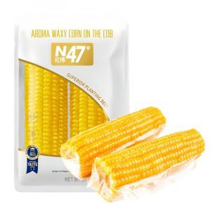 c2f07299-db37-4131-a9fa-022860dcc1ca_clipped_rev_1 (1).jpeg